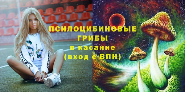 дурь Бронницы